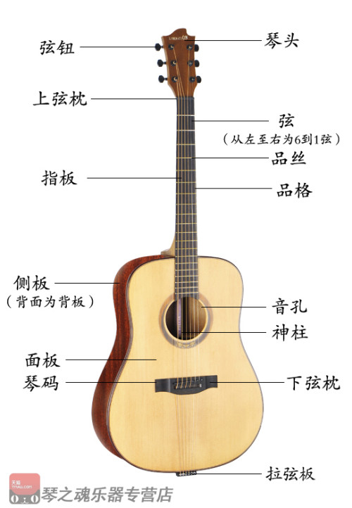 零基础也能弹好吉他：全程指导的吉他自学视频教程全集