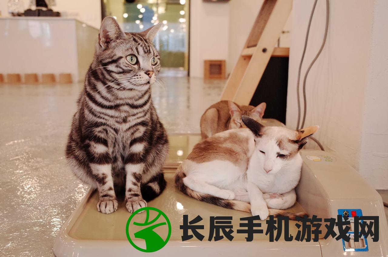 (猫语咖啡老版本)探索旧版猫语咖啡：还保有玩味的魅力吗？